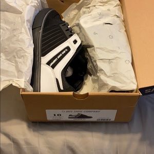 DVS shoe Celsius CTs brand new